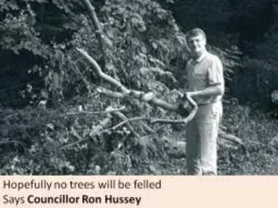 Cllr Hussey and the fallen branches