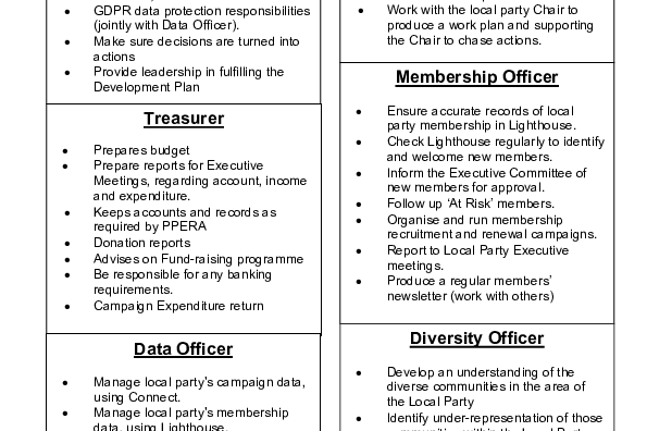 Executive committee roles